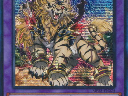 Amazoness Pet Liger King [MP23-EN224] Prismatic Secret Rare For Cheap